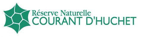 Courant d'Huchet